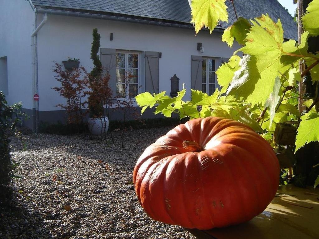 Gite Cottage D'Hamicourt Aux Portes De La Baie De Somme Dış mekan fotoğraf